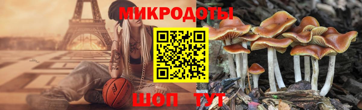 Галлюциногенные грибы мицелий Орёл