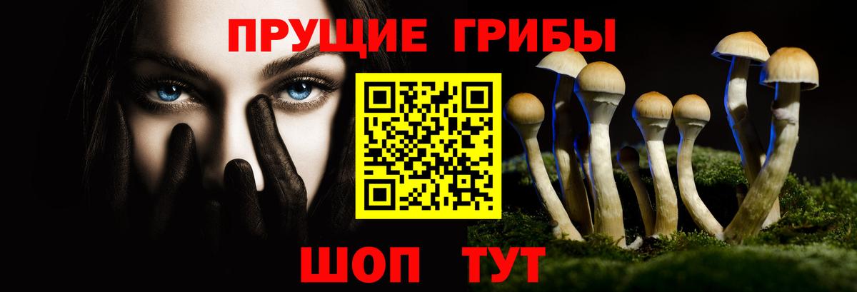 Псилоцибиновые грибы ЛСД  Галлюциногенные грибы мицелий  Орёл  Вход с VPN 